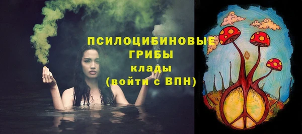 метадон Няндома