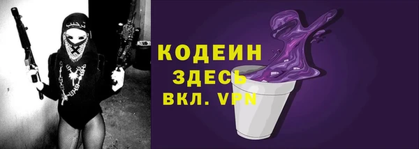 метадон Няндома