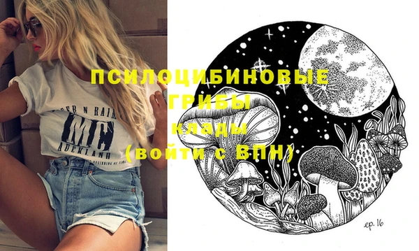 метадон Няндома