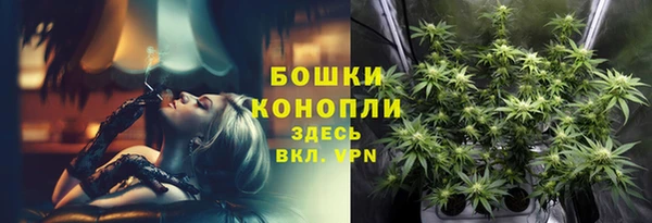 метадон Няндома