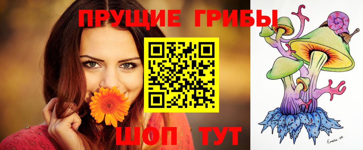 Верхняя Салда  Псилоцибиновые грибы Psilocybine cubensis  Вход с VPN 