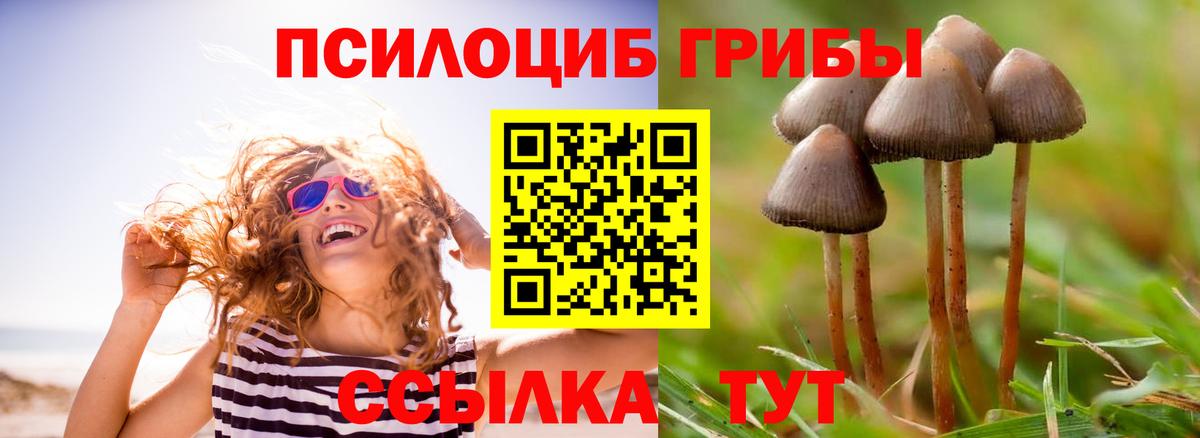 Псилоцибиновые грибы GOLDEN TEACHER Верхняя Салда