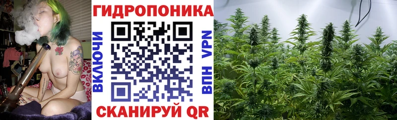 Шишки марихуана марихуана  Верхняя Салда 